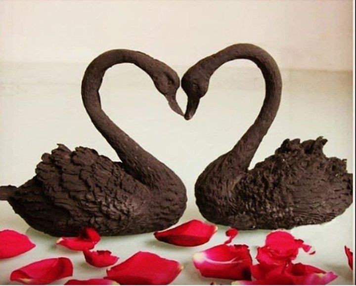 کارشده با مولد قو